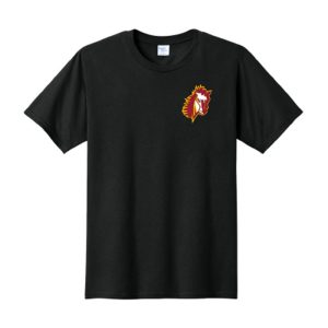 BL 0005 black tee 1 lc
