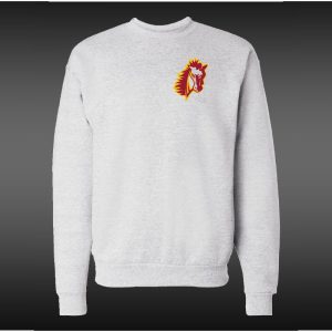 BL 0023 ash crewneck 1 lc